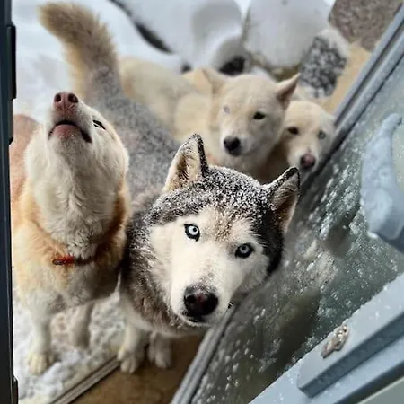 La Petite Siberie Nature Cadre Exceptionnel * Mazet-Saint-Voy